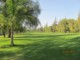 CAMPO DE GOLF